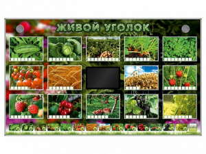 Комплект оборудования "Живой уголок" (растения) - fgospostavki.ru - Тамбов