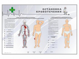 Электрифицированный стенд "Остановка кровотечения" - fgospostavki.ru - Тамбов