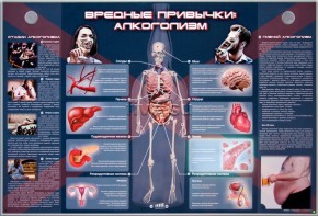Электрифицированный стенд "Вредные привычки: алкоголизм" - fgospostavki.ru - Тамбов