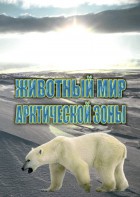 DVD "Животный мир Арктической зоны" - fgospostavki.ru - Тамбов