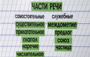 Набор магнитных карточек "Части речи" (фон зелёный) - fgospostavki.ru - Тамбов