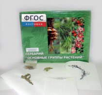 Гербарий "Основные группы растений" (52 листа) - fgospostavki.ru - Тамбов