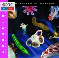 Биология. Микрофотографии. (Цифровая база изображений) - fgospostavki.ru - Тамбов