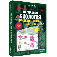 Наглядная биология. 6 класс. Растения. Грибы. Бактерии - fgospostavki.ru - Тамбов