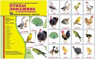Демонстрационные карточки "Птицы домашние и декоративные" - fgospostavki.ru - Тамбов