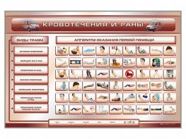 Трехсекционный базовый комплект "Травмы. Кровотечения. Ожоги" для учащихся общеобразовательных учреждений - fgospostavki.ru - Тамбов