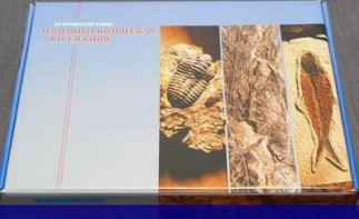 Коллекция "Палеонтологическая" (16 образцов) - fgospostavki.ru - Тамбов