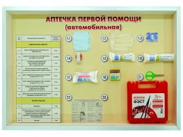 Стенд "Аптечка первой помощи (автомобильная)" (образцы под оргстеклом) - fgospostavki.ru - Тамбов
