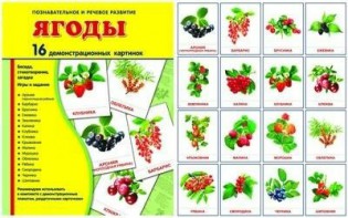 Демонстрационные карточки "Ягоды" - fgospostavki.ru - Тамбов