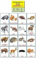 Раздаточные карточки "Дикие животные (1)" - fgospostavki.ru - Тамбов