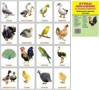 Раздаточные карточки "Птицы домашние и декоративные" - fgospostavki.ru - Тамбов
