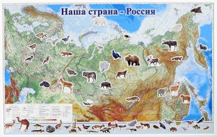 Магнитные карточки "Животные" - fgospostavki.ru - Тамбов