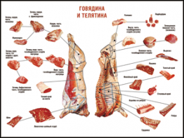 Таблица "Правила разделки мясных туш. Говядина и телятина" (100х140 сантиметров, винил) - fgospostavki.ru - Тамбов