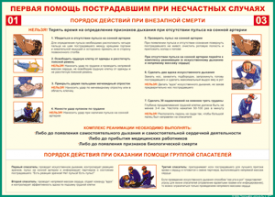 Таблица "Порядок действий при внезапной смерти" (100х140 сантиметров, винил) - fgospostavki.ru - Тамбов