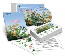 Комбинированное наглядное пособие «Растения» - fgospostavki.ru - Тамбов