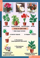 Комплект таблиц. Окружающий мир 1 класс. - fgospostavki.ru - Тамбов