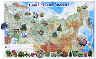 Магнитные карточки "Растения" - fgospostavki.ru - Тамбов