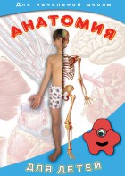 DVD "Анатомия для детей" - fgospostavki.ru - Тамбов
