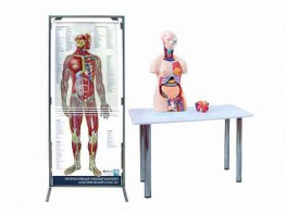 Интерактивный учебный комплекс "Анатомический атлас 3D" - fgospostavki.ru - Тамбов