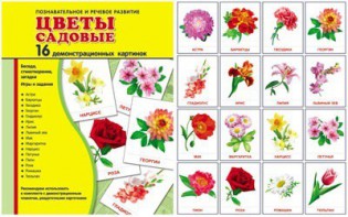 Демонстрационные карточки "Цветы садовые" - fgospostavki.ru - Тамбов