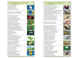 Комплект карточек (10) "Обучающий калейдоскоп. Природа" - fgospostavki.ru - Тамбов