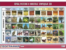 Таблица демонстрационная "Почвы, растения и животные природных зон" (винил 70*100) - fgospostavki.ru - Тамбов