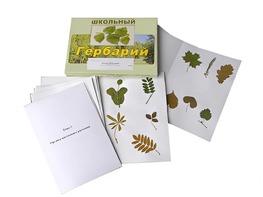 Гербарий "Морфология растений" (6 тем, 30 видов) - fgospostavki.ru - Тамбов