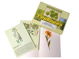 Гербарий "Систематика растений. Семейство Пасленовые. Крестоцветные. Сложноцветные" (раздаточный) - fgospostavki.ru - Тамбов