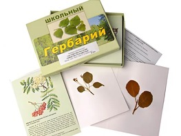 Гербарий "Систематика растений. Семейство Розоцветные" (раздаточный) - fgospostavki.ru - Тамбов