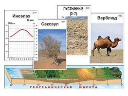 Модель-аппликация "Природные зоны" - fgospostavki.ru - Тамбов