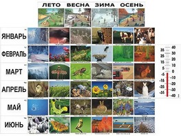 Фенологические наблюдения - fgospostavki.ru - Тамбов