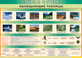 Таблица "Экология. Обобщающие таблицы" (100х140 сантиметров, винил) - fgospostavki.ru - Тамбов