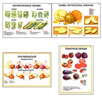 Плакаты ПРОФТЕХ "Ассортимент овощных культур" (12 пл, винил, 70х100) - fgospostavki.ru - Тамбов