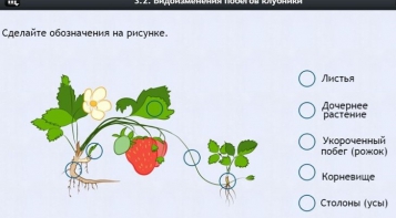 Интерактивные курсы. Биология 7 класс. Расширенный. - fgospostavki.ru - Тамбов