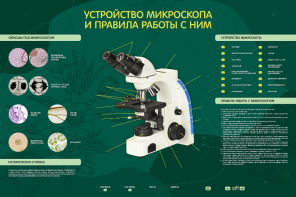Электрифицированный стенд "Устройство микроскопа и правила работы c ним" - fgospostavki.ru - Тамбов