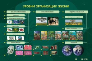 Электрифицированный стенд "Уровни организации жизни" - fgospostavki.ru - Тамбов