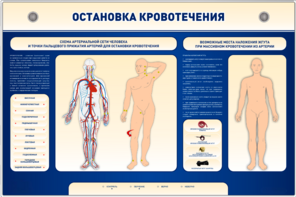 Электрифицированный стенд-тренажер "Остановка кровотечения" - fgospostavki.ru - Тамбов