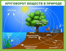 Стенд "Круговорот веществ" - fgospostavki.ru - Тамбов