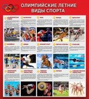 Стенд "Олимпийские летние виды спорта" - fgospostavki.ru - Тамбов
