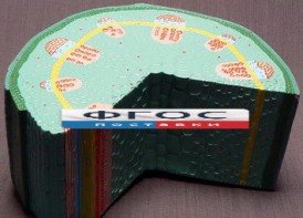 Модель "Стебель растения" - fgospostavki.ru - Тамбов