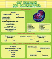 Стенд "От клетки до организма" - fgospostavki.ru - Тамбов