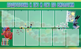 Стенд "Подготовка к ЕГЭ и ОГЭ по биологии" Вариант 2 - fgospostavki.ru - Тамбов
