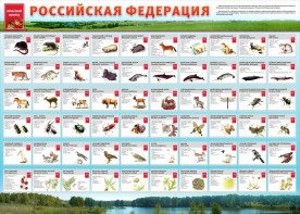 Стенд "Красная книга РФ" - fgospostavki.ru - Тамбов
