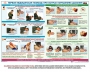 Комплект плакатов "Оказание первой доврачебной медицинской помощи" - fgospostavki.ru - Тамбов