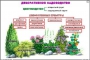 Комплект кодотранспарантов "Культурные растения" - fgospostavki.ru - Тамбов