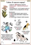 Комплект кодотранспарантов "Ядовитые растения" - fgospostavki.ru - Тамбов